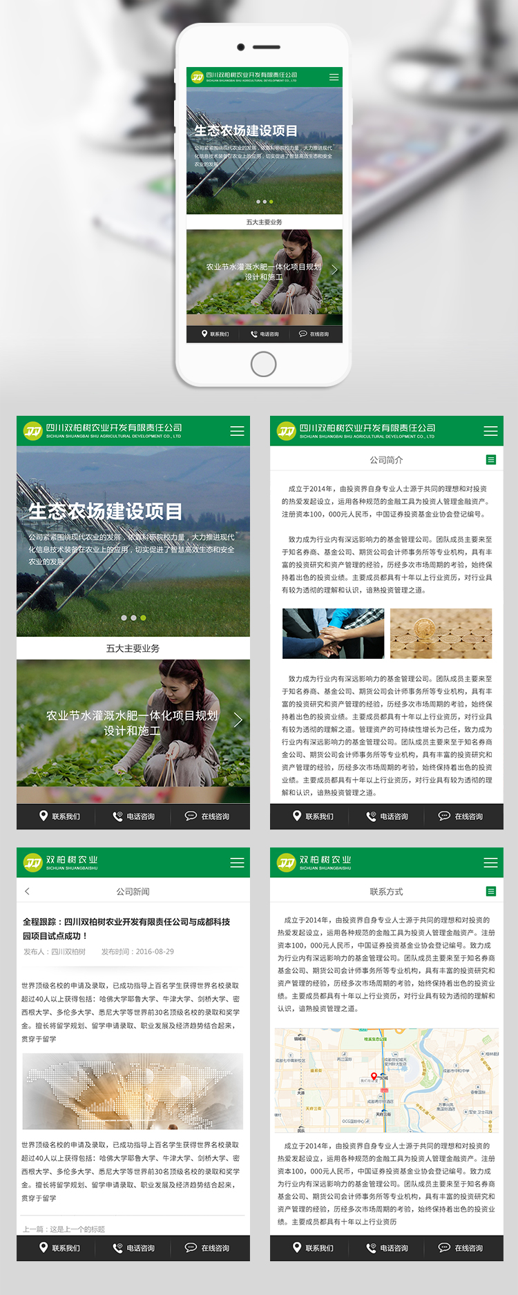 雙柏樹(shù)網(wǎng)站設(shè)計(jì)